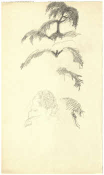 Visualizza l'immagine "FD D 273"